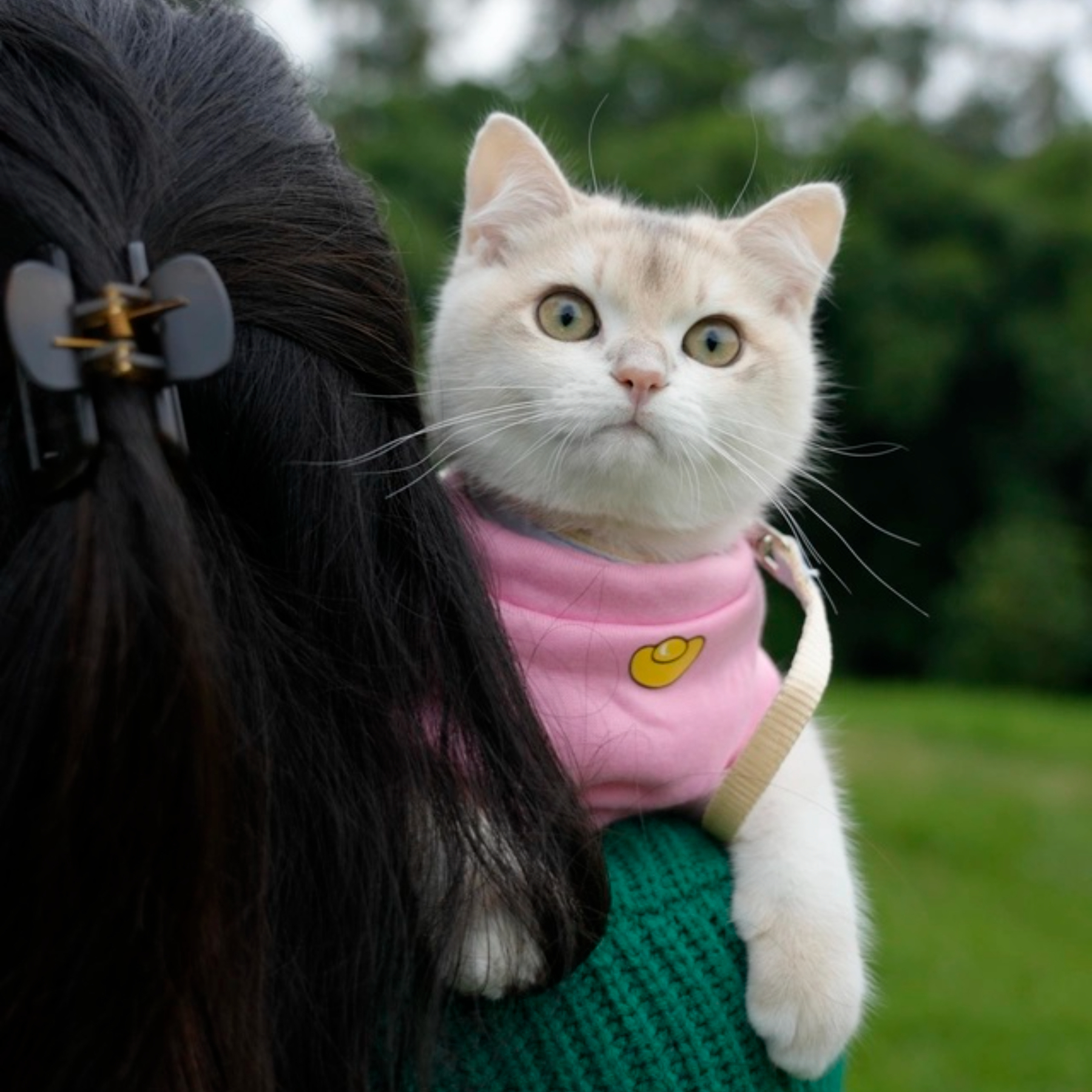 Autumn and Winter New Pet Vest for Cats and Dogs Classic Style Lightweight and Washable Double-Plush Windproof Polyester Vest,U-ME PET LUV,New Faux Two-Piece Fleece Hoodie Vest for Cats - Wind-Resistant Thermal Apparel