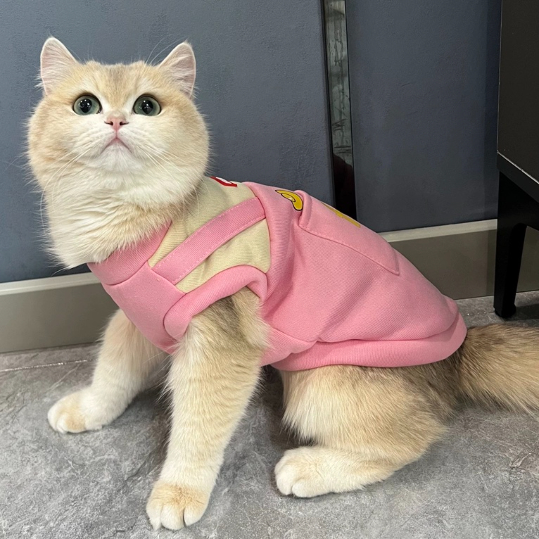 Autumn and Winter New Pet Vest for Cats and Dogs Classic Style Lightweight and Washable Double-Plush Windproof Polyester Vest,U-ME PET LUV,New Faux Two-Piece Fleece Hoodie Vest for Cats - Wind-Resistant Thermal Apparel