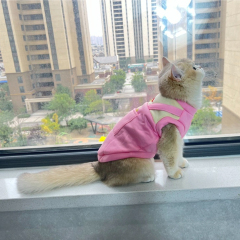Autumn and Winter New Pet Vest for Cats and Dogs Classic Style Lightweight and Washable Double-Plush Windproof Polyester Vest,U-ME PET LUV,New Faux Two-Piece Fleece Hoodie Vest for Cats - Wind-Resistant Thermal Apparel