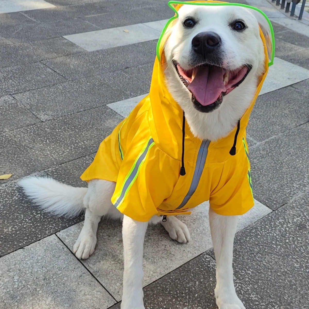 Wholesale OEM Custom Logo Outdoor Waterproof Pu Big Dog Pet Reflective Adjustable Zipper Raincoat With Pockets for Pet Apparel,U-ME PET LUV,New Design Reflective Dog Raincoat - Waterproof Cape Poncho for Medium & Large Dogs
