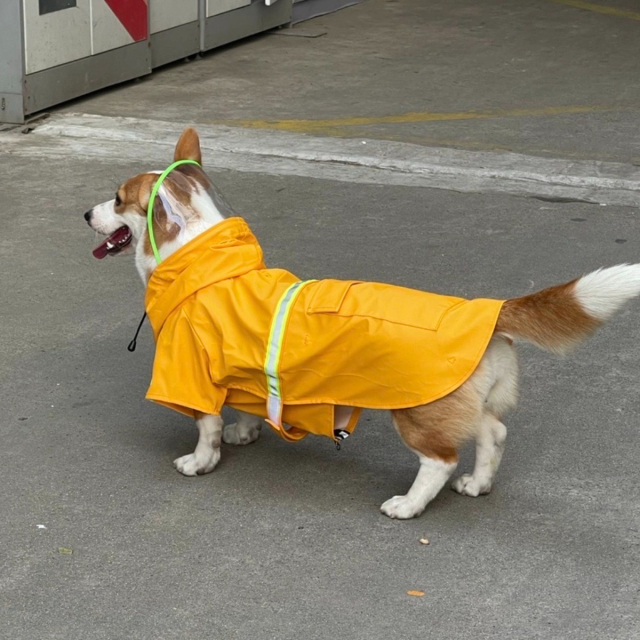 Wholesale OEM Custom Logo Outdoor Waterproof Pu Big Dog Pet Reflective Adjustable Zipper Raincoat With Pockets for Pet Apparel,U-ME PET LUV,New Design Reflective Dog Raincoat - Waterproof Cape Poncho for Medium & Large Dogs
