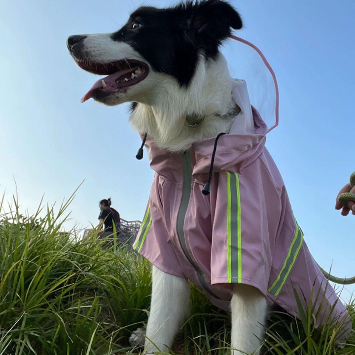 Wholesale OEM Custom Logo Outdoor Waterproof Pu Big Dog Pet Reflective Adjustable Zipper Raincoat With Pockets for Pet Apparel,U-ME PET LUV,New Design Reflective Dog Raincoat - Waterproof Cape Poncho for Medium & Large Dogs