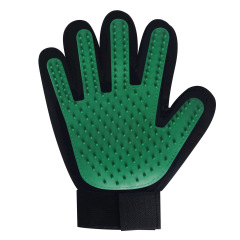 Right hand (green)