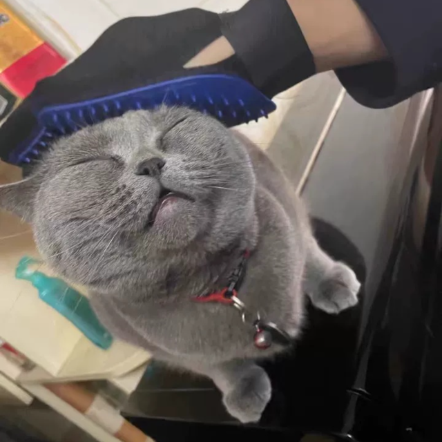 TPR Material Cat Grooming Glove Rubber Massage Deshedding Bathing Cleaning Hair Removal Wholesale Pet Supplies,U-ME PET LUV,Silicone Pet Grooming Glove - Massage, Bathing & Deshedding Tool for Cats and Dogs