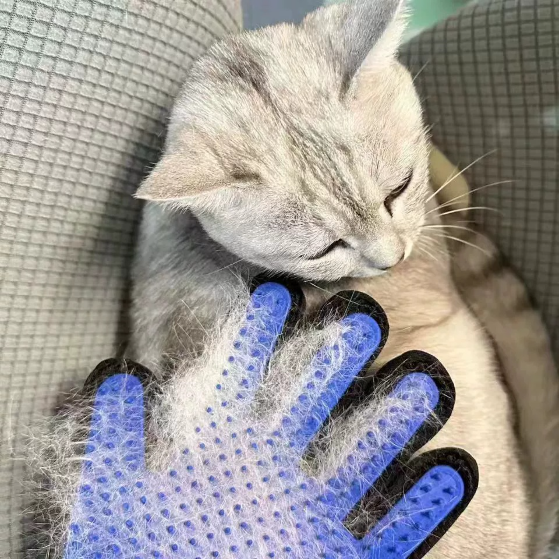 TPR Material Cat Grooming Glove Rubber Massage Deshedding Bathing Cleaning Hair Removal Wholesale Pet Supplies,U-ME PET LUV,Silicone Pet Grooming Glove - Massage, Bathing & Deshedding Tool for Cats and Dogs