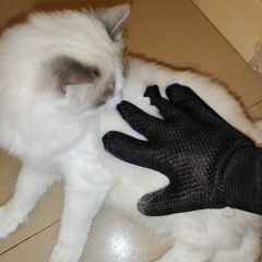 TPR Material Cat Grooming Glove Rubber Massage Deshedding Bathing Cleaning Hair Removal Wholesale Pet Supplies,U-ME PET LUV,Silicone Pet Grooming Glove - Massage, Bathing & Deshedding Tool for Cats and Dogs