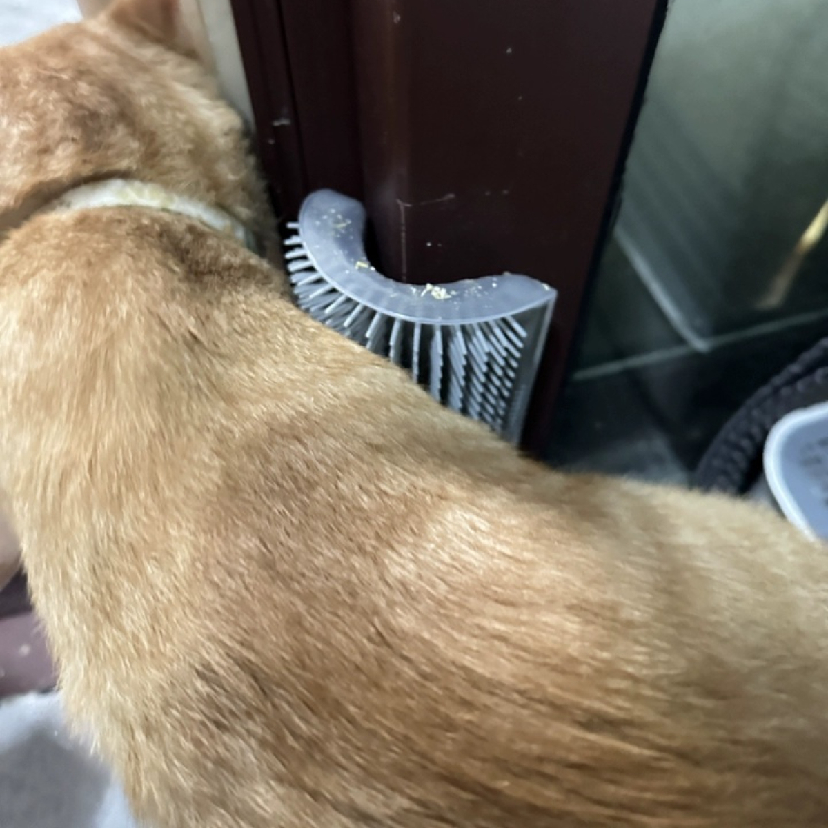 Hot-Selling PP Material Wall-Mounted Self-Grooming Cat Corner Massager Itch Relief & Hair Remover for Happy Pets,U-ME PET LUV,Self-Grooming Cat Scratcher with Catnip - Fur-Removing Bliss Station