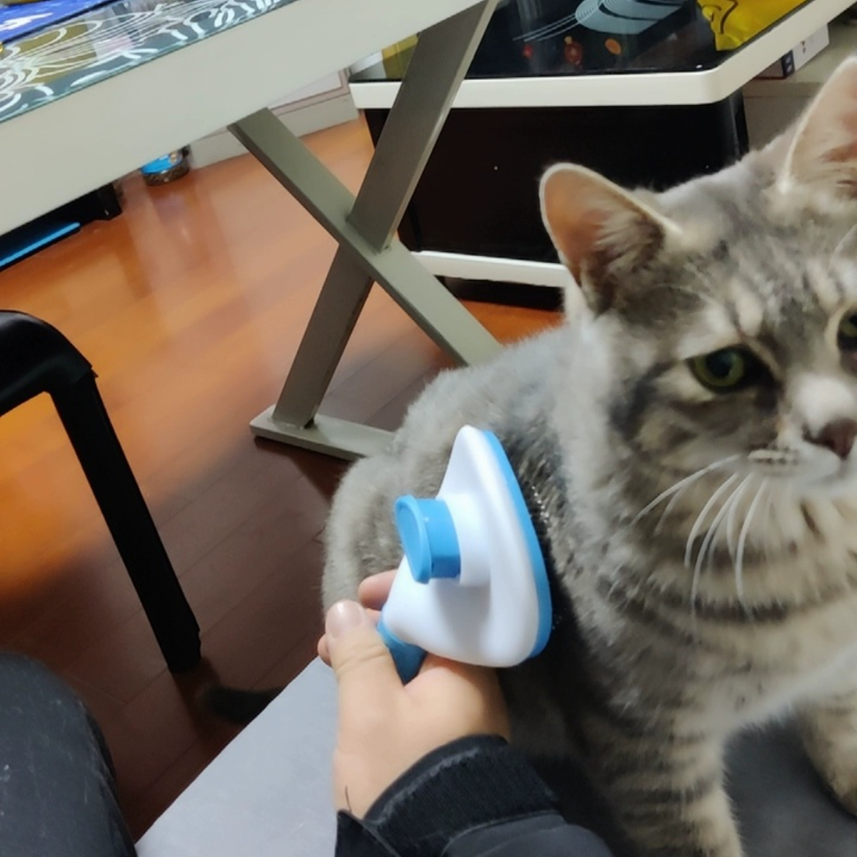 Hot-Selling Automatic Cat/Dog Grooming Comb Plastic Fine Needle Brush for Effortless Tangle-Free Hair Removal and Deshedding,U-ME PET LUV,Pro Self-Cleaning Pet Deshedding Brush - 1-Button Hair Release Stainless Steel Micro-Pins for Tangle-Free Coats on Dogs & Cats, Gentle Shed Control