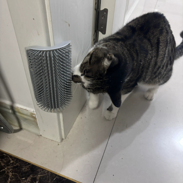 Hot-Selling PP Material Wall-Mounted Self-Grooming Cat Corner Massager Itch Relief & Hair Remover for Happy Pets,U-ME PET LUV,Self-Grooming Cat Scratcher with Catnip - Fur-Removing Bliss Station