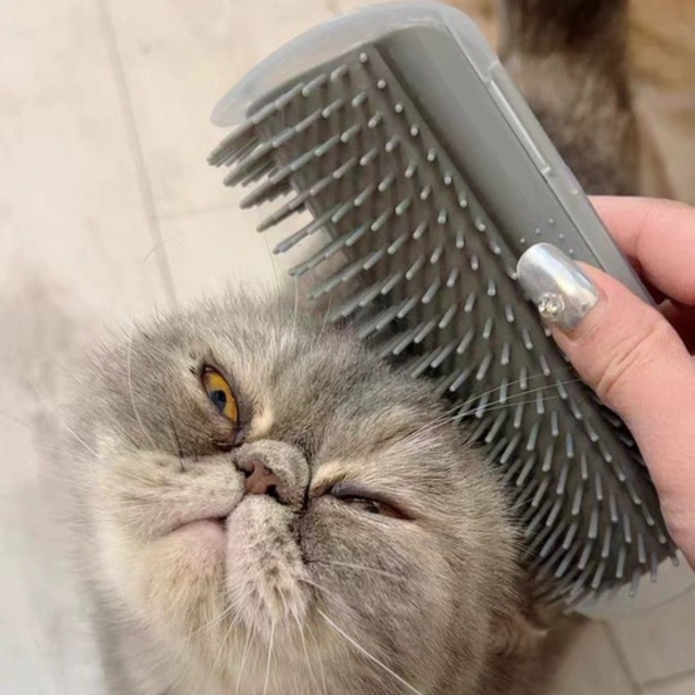 Hot-Selling PP Material Wall-Mounted Self-Grooming Cat Corner Massager Itch Relief & Hair Remover for Happy Pets,U-ME PET LUV,Self-Grooming Cat Scratcher with Catnip - Fur-Removing Bliss Station