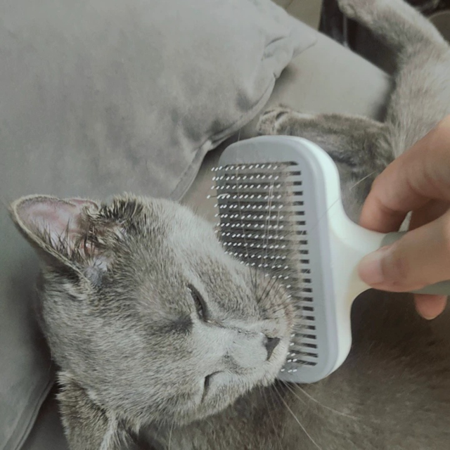 Hot-Selling Automatic Cat/Dog Grooming Comb Plastic Fine Needle Brush for Effortless Tangle-Free Hair Removal and Deshedding,U-ME PET LUV,Pro Self-Cleaning Pet Deshedding Brush - 1-Button Hair Release Stainless Steel Micro-Pins for Tangle-Free Coats on Dogs & Cats, Gentle Shed Control