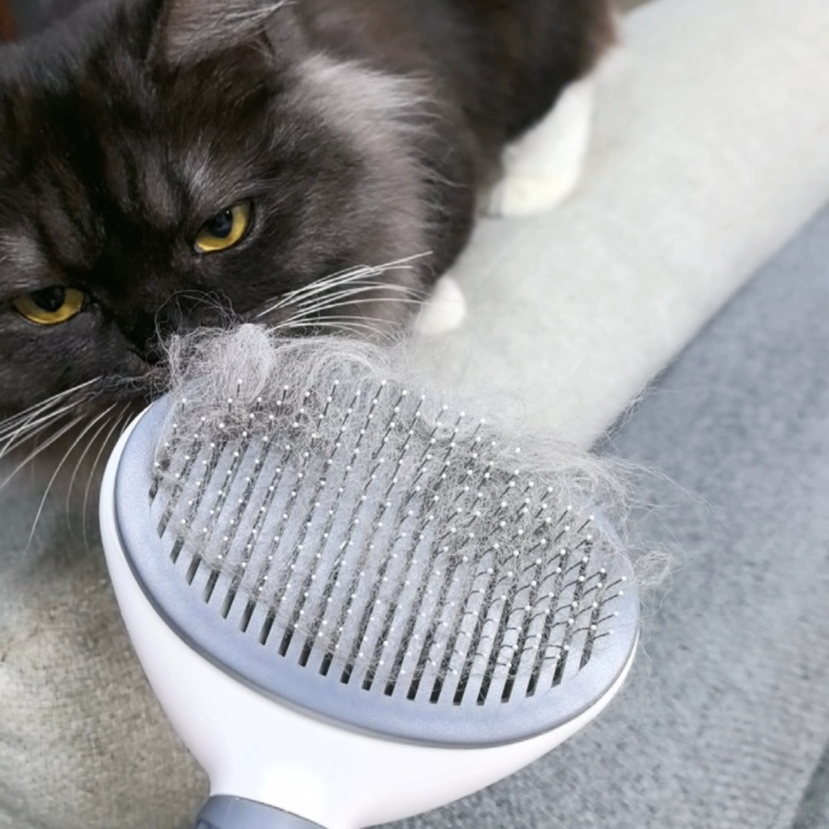Hot-Selling Automatic Cat/Dog Grooming Comb Plastic Fine Needle Brush for Effortless Tangle-Free Hair Removal and Deshedding,U-ME PET LUV,Pro Self-Cleaning Pet Deshedding Brush - 1-Button Hair Release Stainless Steel Micro-Pins for Tangle-Free Coats on Dogs & Cats, Gentle Shed Control