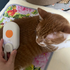 Pet Spray Massage Comb for Cats & Dogs – One - Click Spray, Anti - Flying Hair, Bath Brush & Hair Removal Pet Grooming Tool,U-ME PET LUV,Pet Spray Massage Comb for Cats & Dogs – One - Click Spray, Anti - Flying Hair, Bath Brush & Hair Removal Pet Grooming Tool