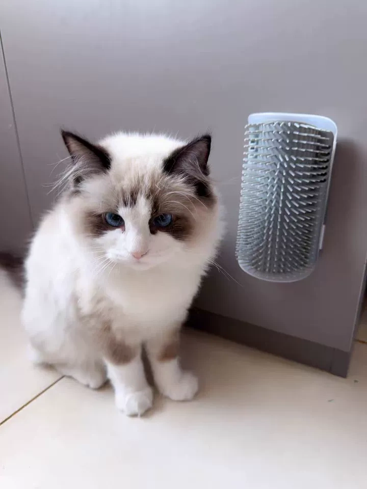 Hot-Selling PP Material Wall-Mounted Self-Grooming Cat Corner Massager Itch Relief & Hair Remover for Happy Pets,U-ME PET LUV,Self-Grooming Cat Scratcher with Catnip - Fur-Removing Bliss Station