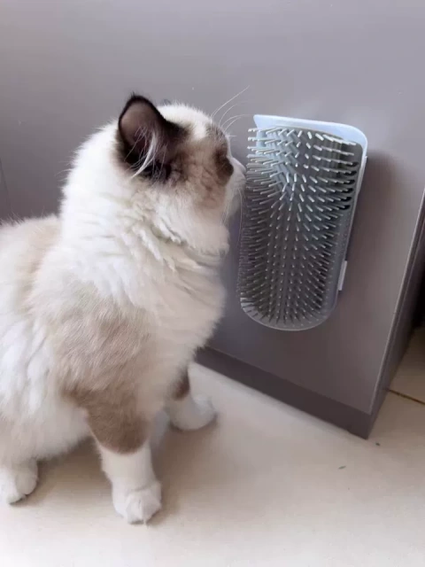 Hot-Selling PP Material Wall-Mounted Self-Grooming Cat Corner Massager Itch Relief & Hair Remover for Happy Pets,U-ME PET LUV,Self-Grooming Cat Scratcher with Catnip - Fur-Removing Bliss Station