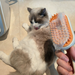 Pet Spray Massage Comb for Cats & Dogs – One - Click Spray, Anti - Flying Hair, Bath Brush & Hair Removal Pet Grooming Tool,U-ME PET LUV,Pet Spray Massage Comb for Cats & Dogs – One - Click Spray, Anti - Flying Hair, Bath Brush & Hair Removal Pet Grooming Tool