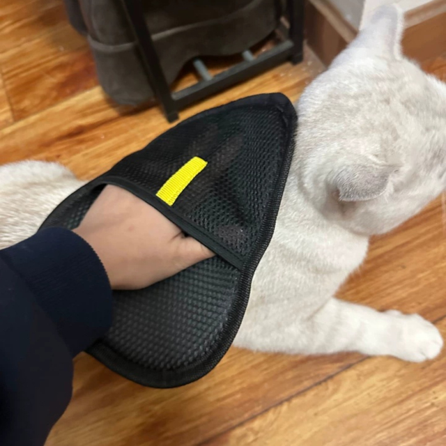 Hot-Selling Reusable Static Electricity Pet Grooming Glove Lint Remover Tool for Fur Control,U-ME PET LUV,Electrostatic Pet Hair Removal Glove for Cats & Dogs Fur Remover