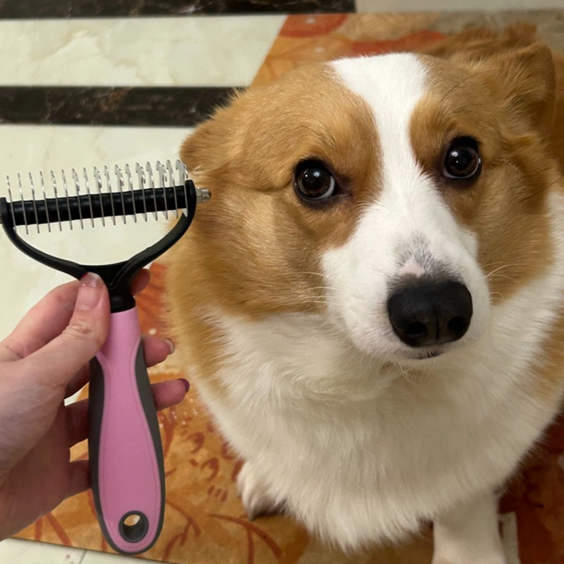 Professional Pet Products Stainless Steel Pet Comb Brush TPR Deshedding Brush for Dogs and Cats Effectively Removes Loose Fur Grooming Tools,U-ME PET LUV,Professional Detangler & Pet Dematting Comb Dog & Cat Deshedding Tool