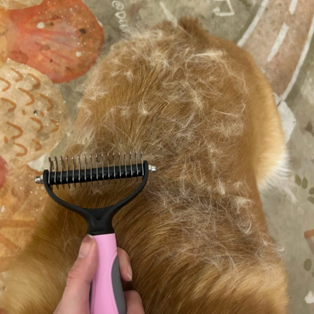 Professional Pet Products Stainless Steel Pet Comb Brush TPR Deshedding Brush for Dogs and Cats Effectively Removes Loose Fur Grooming Tools,U-ME PET LUV,Professional Detangler & Pet Dematting Comb Dog & Cat Deshedding Tool