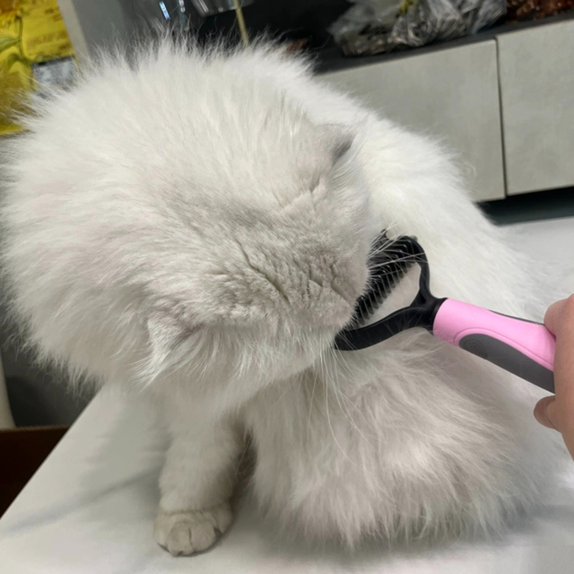 Professional Pet Products Stainless Steel Pet Comb Brush TPR Deshedding Brush for Dogs and Cats Effectively Removes Loose Fur Grooming Tools,U-ME PET LUV,Professional Detangler & Pet Dematting Comb Dog & Cat Deshedding Tool