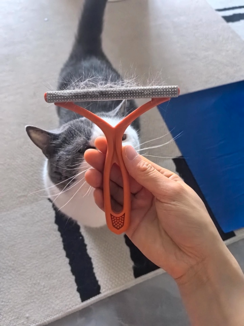 Hot-Selling Reusable Anti-Static Silicone Lint Brush Simple Style Plastic Pet Hair Remover for Furniture Clothes Carpets,U-ME PET LUV,ProPet Hair Remover Pro: Multi-Surface Deshedding Tool for Bedding, Carpets & Upholstery