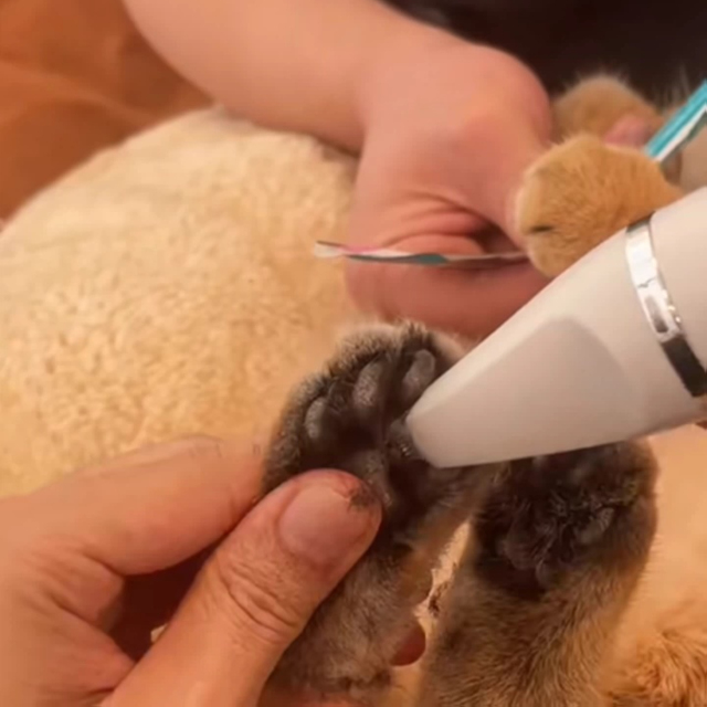 Rechargeable Cordless Pet Clipper Set - Dog & Cat Hair Trimmer with 4 Attachments for Body/Paw Grooming,U-ME PET LUV,4-in-1 Electric Paw Hair Trimmer: Universal for Cats & Dogs Grooming