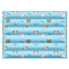 Light blue little bears