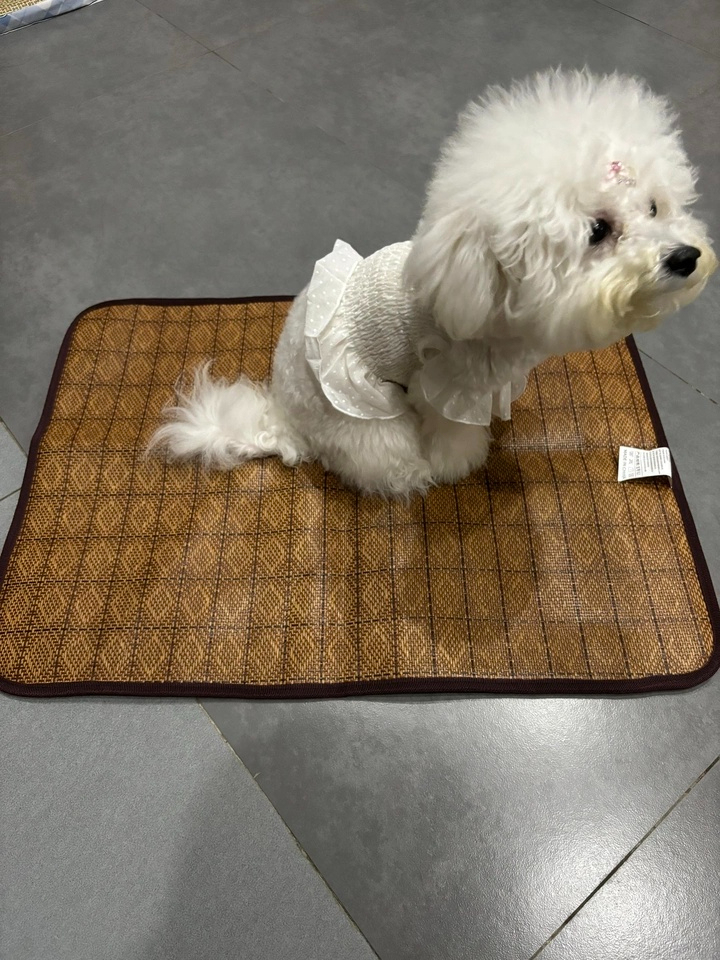 Hot-Selling Summer Cooling Pet Mat for Dogs & Cats Breathable Ice Pad with Ventilated Design Solid Pattern,U-ME PET LUV,Breathable Rattan Cooling Pad - Summer Pet Bed for Dogs & Cats