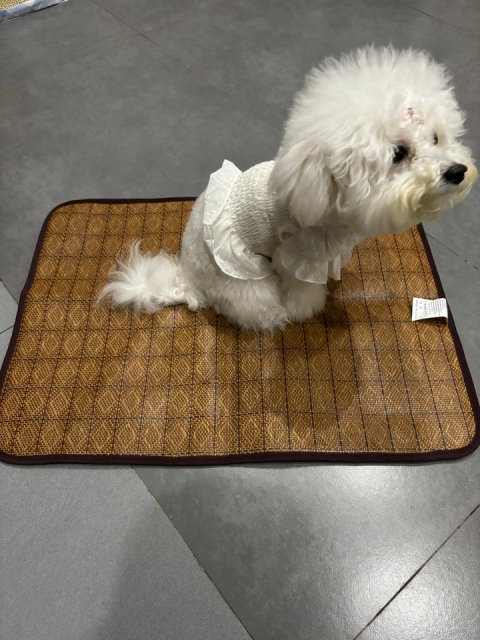 Hot-Selling Summer Cooling Pet Mat for Dogs & Cats Breathable Ice Pad with Ventilated Design Solid Pattern,U-ME PET LUV,Breathable Rattan Cooling Pad - Summer Pet Bed for Dogs & Cats