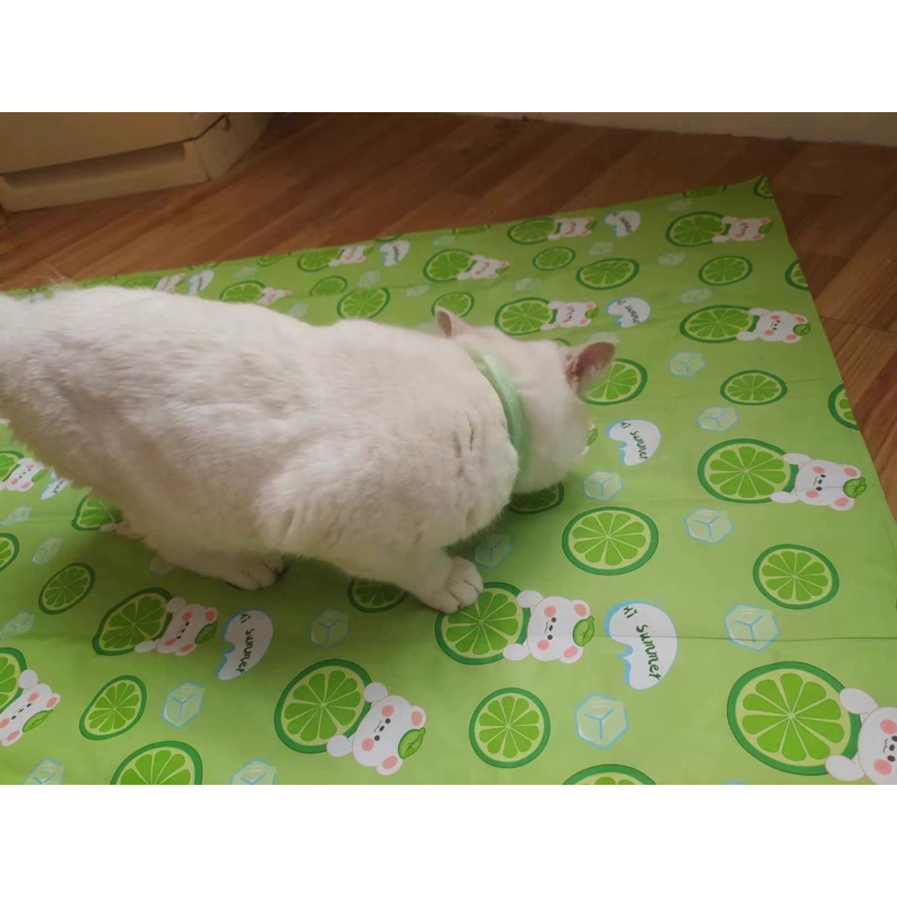 Hot-Selling Cartoon Print Summer Pet Bed Mat Waterproof Gel Cooling Pad for Dogs & Cats with Ice Technology,U-ME PET LUV,Pet Cooling Mat - Self-Cooling Gel Pad for Hot Dogs & Cats