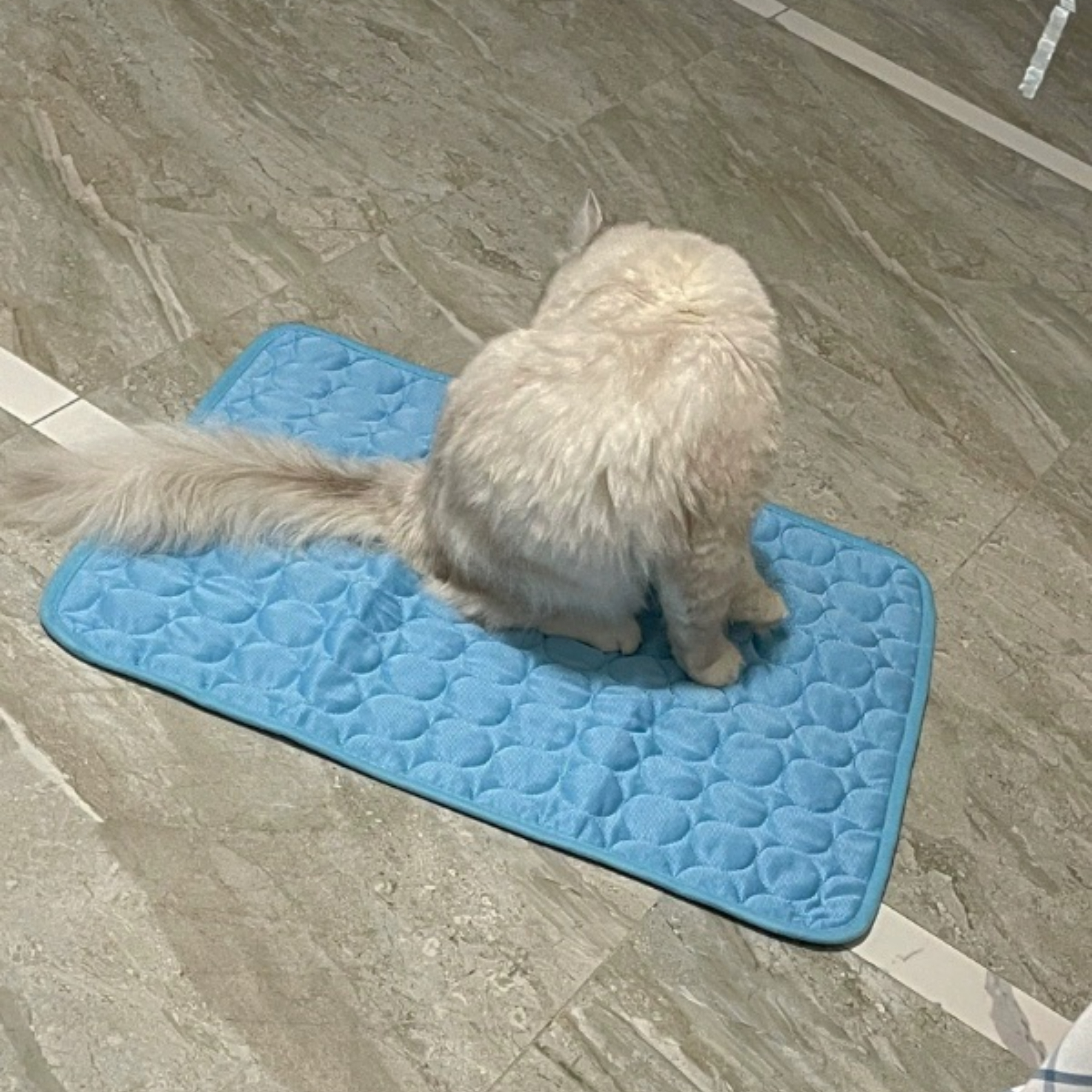 Modern Summer Pet Bed Explosions Silk Cooling Sleeping Mat for Dogs and Cats Cool Ice Animal Pattern Sofa Mat,U-ME PET LUV,Pet Summer Pet Sofa Mat, Floor Mat, Dog Cooling Pad, Spring-Summer Cat Cooling Mat, Ice Silk Pad, Temperature-Reducing Sleeping Mat
