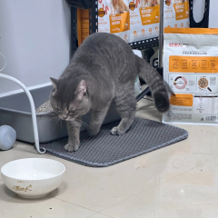 2-Layer Extra Large EVA Cat Litter Trapper Mat Washable Anti-Tracking Floor Protector,U-ME PET LUV,Breathable Rattan Cooling Pad - Summer Pet Bed for Dogs & Cats