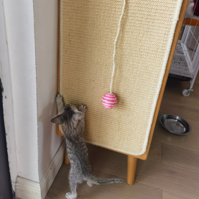 Premium Sisal Cat Scratching Board Wall-Mounted Vertical Pad with Durable Striped Pattern Shed-Free Claw Toy,U-ME PET LUV,Playful Wall-Mounted Sisal Cat Scratcher - Durable & Entertaining