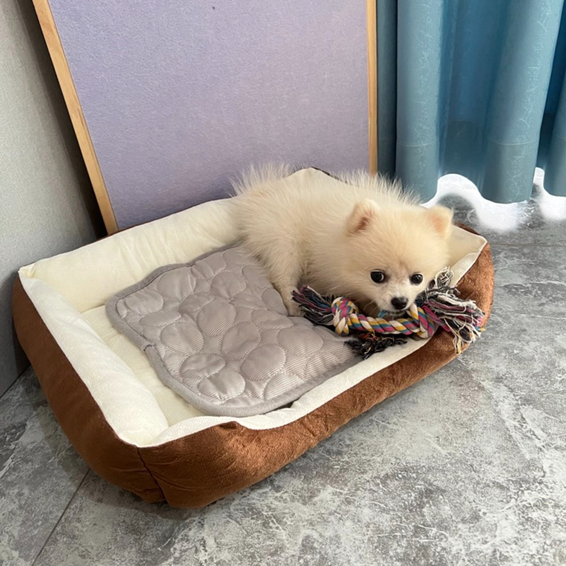 Modern Summer Pet Bed Explosions Silk Cooling Sleeping Mat for Dogs and Cats Cool Ice Animal Pattern Sofa Mat,U-ME PET LUV,Pet Summer Pet Sofa Mat, Floor Mat, Dog Cooling Pad, Spring-Summer Cat Cooling Mat, Ice Silk Pad, Temperature-Reducing Sleeping Mat