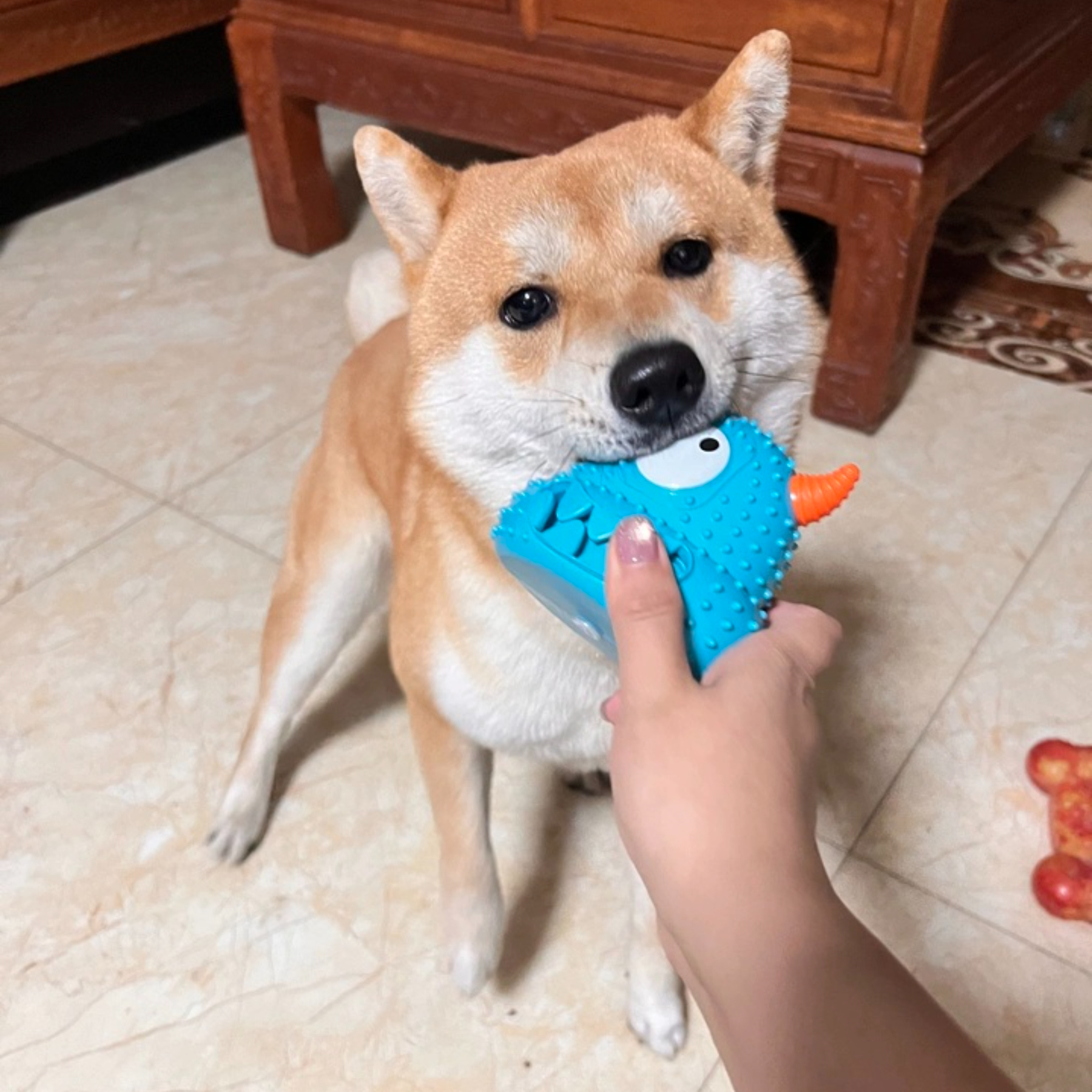 Hot Selling Squeaky Monster Series Dog Pet Toys Chew Resistant & Easy to Clean Made of TPR Material Cartoon Style,U-ME PET LUV,New Monster Squeakers: Tough, Chew-Proof & Washable TPR Dog Toys