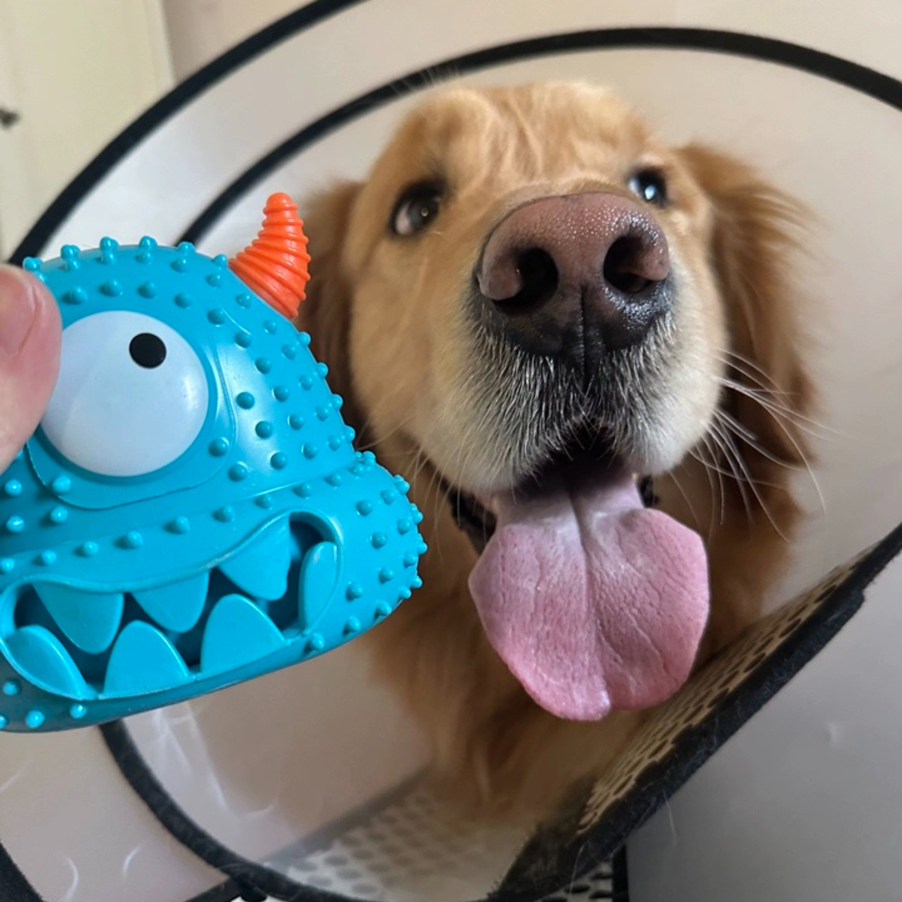 Hot Selling Squeaky Monster Series Dog Pet Toys Chew Resistant & Easy to Clean Made of TPR Material Cartoon Style,U-ME PET LUV,New Monster Squeakers: Tough, Chew-Proof & Washable TPR Dog Toys