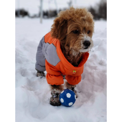 Hot-Selling Interactive Squeaky Latex Pet Toy Ball Self-Biting Hi-Depressed Dog & Cat Teeth Cleaning Products,U-ME PET LUV,Unchewable Squeak Soccer - Natural Rubber Dog Ball (Best Seller!)
