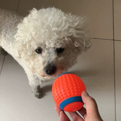 Hot-Selling Interactive Squeaky Latex Pet Toy Ball Self-Biting Hi-Depressed Dog & Cat Teeth Cleaning Products,U-ME PET LUV,Unchewable Squeak Soccer - Natural Rubber Dog Ball (Best Seller!)