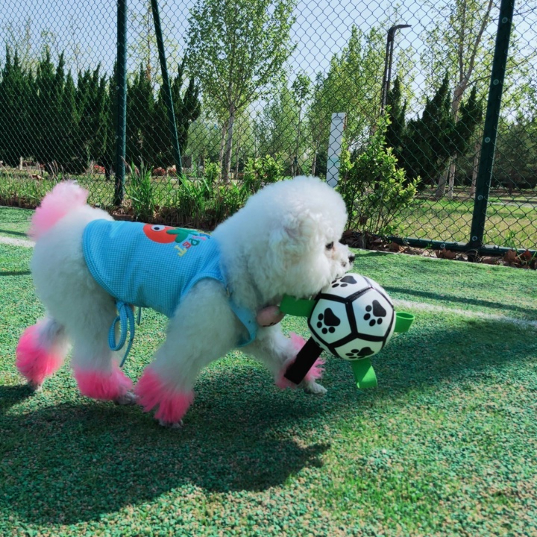 Hot-Selling Interactive Squeaky Dog Toy Outdoor Molar Bite-Resistant Inflatable Football for Daily Training PP Cotton PU,U-ME PET LUV,Premium Pet Dog Training Toy - Outdoor Inflatable Soccer, Molar - Friendly, Bite - Resistant with Squeaker