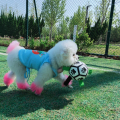 Hot-Selling Interactive Squeaky Dog Toy Outdoor Molar Bite-Resistant Inflatable Football for Daily Training PP Cotton PU,U-ME PET LUV,Premium Pet Dog Training Toy - Outdoor Inflatable Soccer, Molar - Friendly, Bite - Resistant with Squeaker