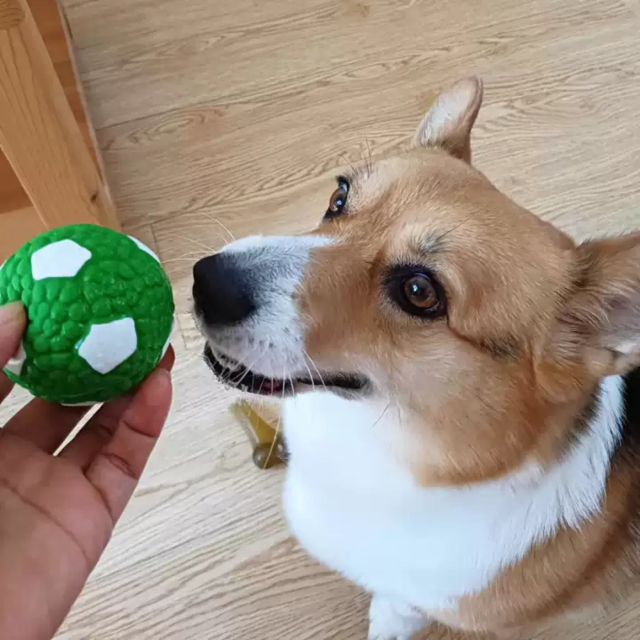 Hot-Selling Interactive Squeaky Latex Pet Toy Ball Self-Biting Hi-Depressed Dog & Cat Teeth Cleaning Products,U-ME PET LUV,Unchewable Squeak Soccer - Natural Rubber Dog Ball (Best Seller!)