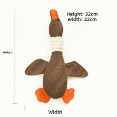 Brown Wild Goose