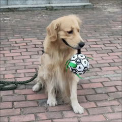 Hot-Selling Interactive Squeaky Dog Toy Outdoor Molar Bite-Resistant Inflatable Football for Daily Training PP Cotton PU,U-ME PET LUV,Premium Pet Dog Training Toy - Outdoor Inflatable Soccer, Molar - Friendly, Bite - Resistant with Squeaker