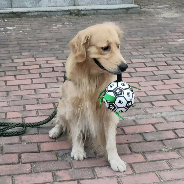 Hot-Selling Interactive Squeaky Dog Toy Outdoor Molar Bite-Resistant Inflatable Football for Daily Training PP Cotton PU,U-ME PET LUV,Premium Pet Dog Training Toy - Outdoor Inflatable Soccer, Molar - Friendly, Bite - Resistant with Squeaker
