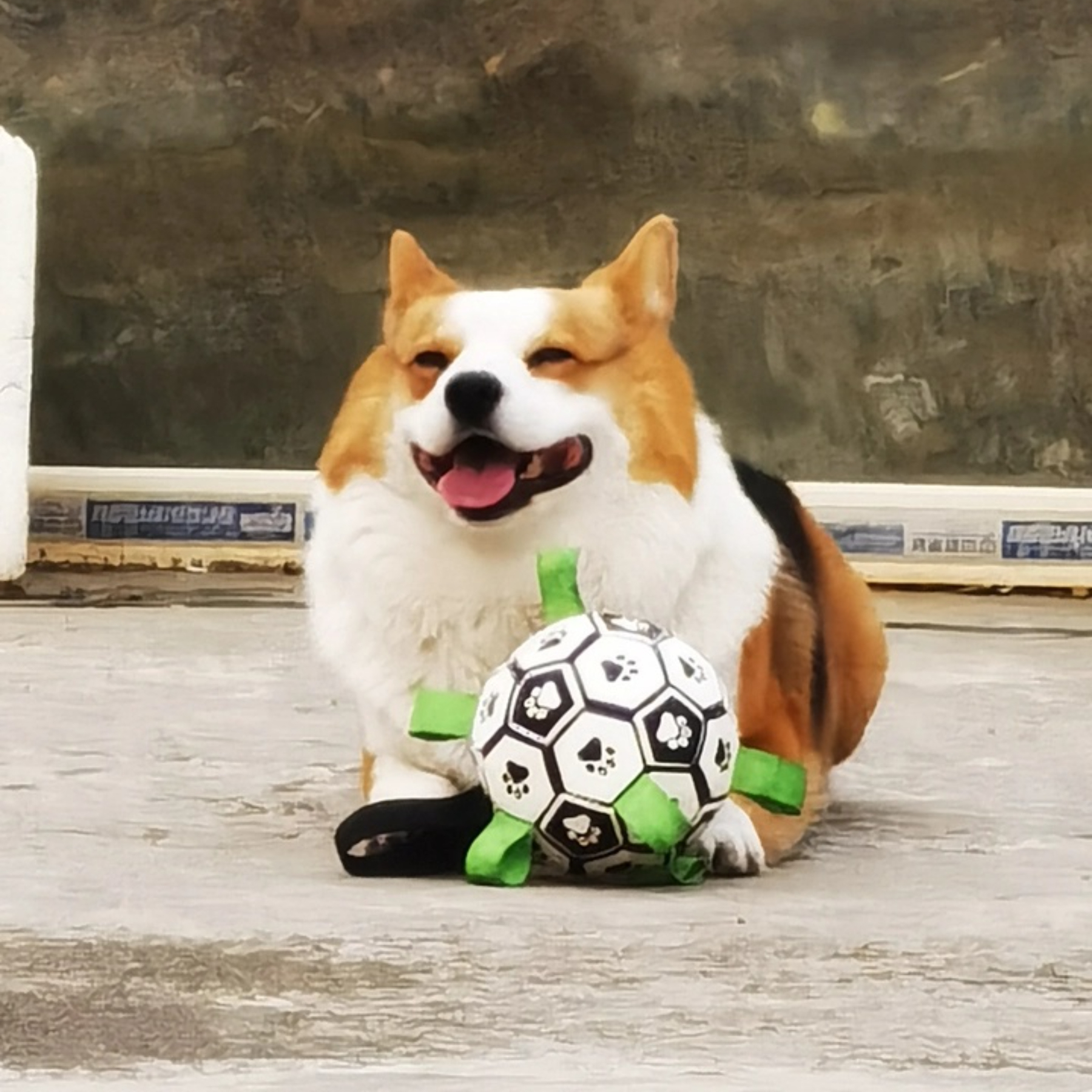 Hot-Selling Interactive Squeaky Dog Toy Outdoor Molar Bite-Resistant Inflatable Football for Daily Training PP Cotton PU,U-ME PET LUV,Premium Pet Dog Training Toy - Outdoor Inflatable Soccer, Molar - Friendly, Bite - Resistant with Squeaker