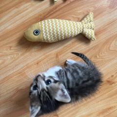 Hot-Selling Catnip Jute Fish Toy Interactive Linen Chew Stick for Kittens Daily Use Cartoon Style Self-Play Fun Boredom Relief,U-ME PET LUV,Bestselling Catnip Linen Fish Cat Toy - Realistic Kitten Teether for Self - Play & Boredom Relief