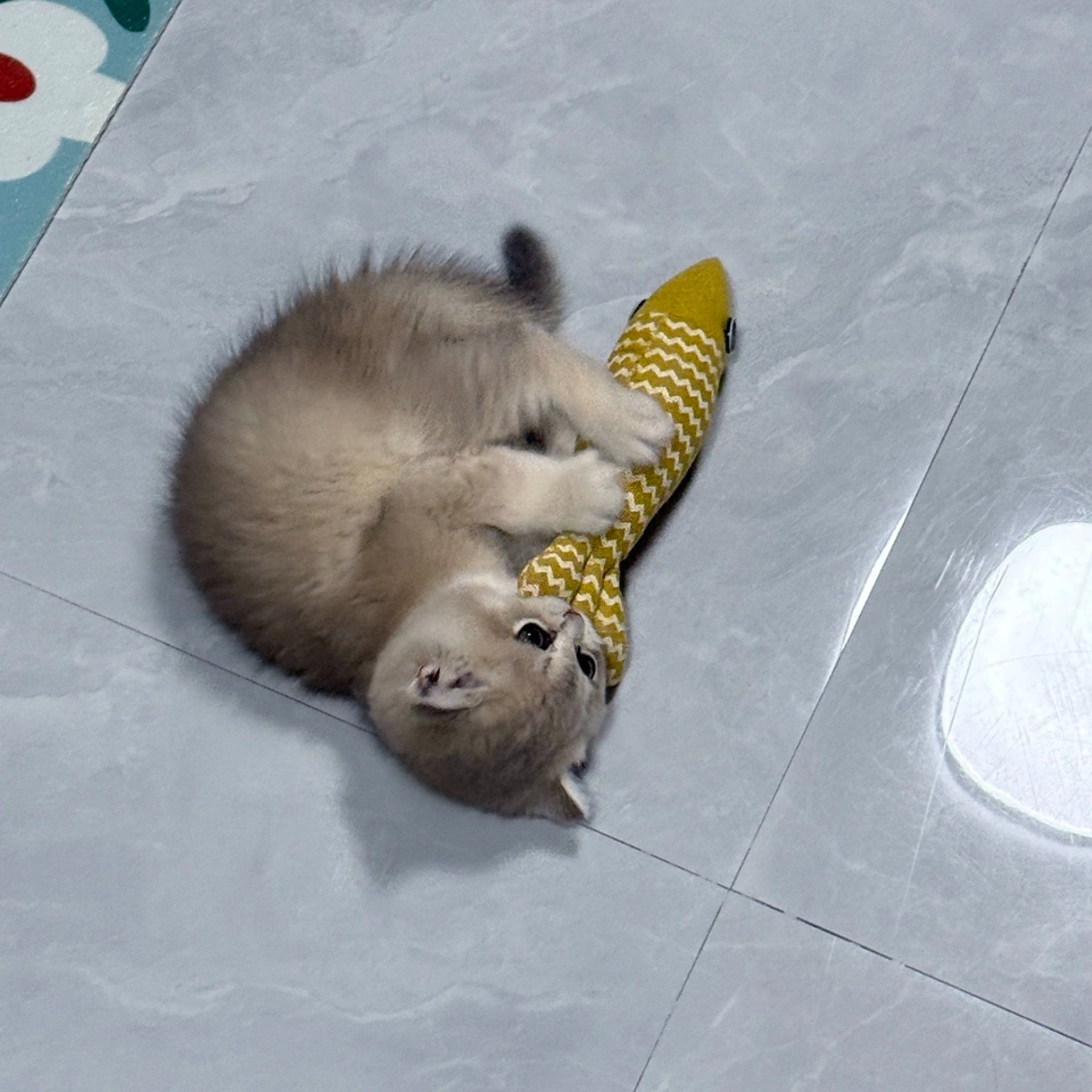 Hot-Selling Catnip Jute Fish Toy Interactive Linen Chew Stick for Kittens Daily Use Cartoon Style Self-Play Fun Boredom Relief,U-ME PET LUV,Bestselling Catnip Linen Fish Cat Toy - Realistic Kitten Teether for Self - Play & Boredom Relief