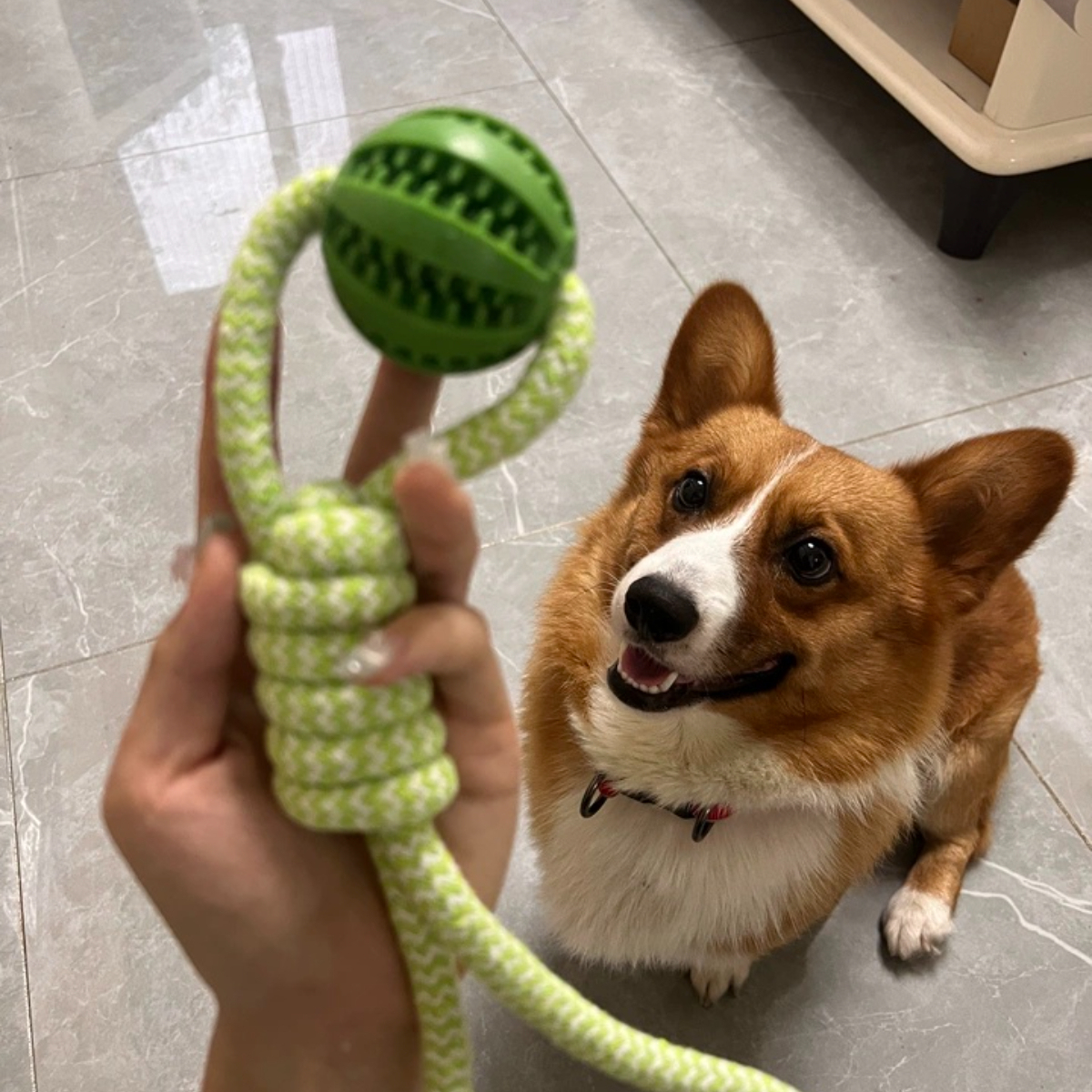 Interactive Watermelon Rope Toy Tear-Resistant Dental Chewer for Large Breed Aggressive Chewers Daily Use,U-ME PET LUV,ses engineering terminology ("tensile strength", "biofilm formation")
