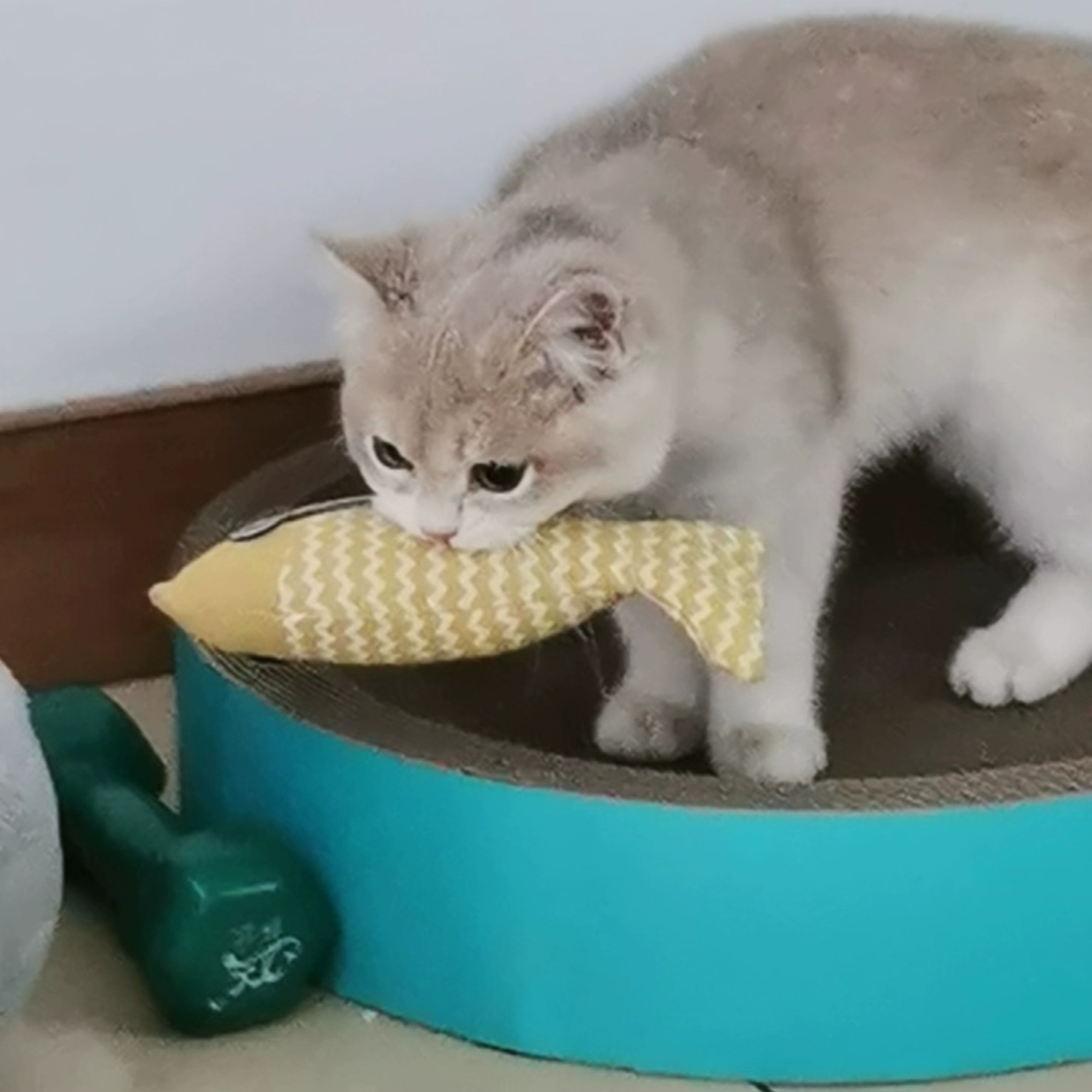 Hot-Selling Catnip Jute Fish Toy Interactive Linen Chew Stick for Kittens Daily Use Cartoon Style Self-Play Fun Boredom Relief,U-ME PET LUV,Bestselling Catnip Linen Fish Cat Toy - Realistic Kitten Teether for Self - Play & Boredom Relief