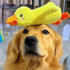 Small Medium Luxury Dogs' Chew Toy Hot-Selling Squeaky Plush Duck Durable Eco-Friendly Bedtime Companion for Daily Use,U-ME PET LUV,Squeaky Chew-Proof Duck Buddy - Plush Dog Toy for or Small & Medium & Large Dogs